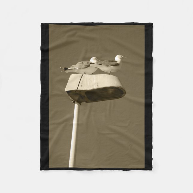 Cobertor De Velo Posto de pesquisa Lanzarote Tint Vinheta Vertical (Frente)