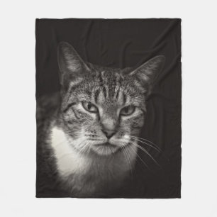 COBERTOR DE VELO PRATA TABBY CAT