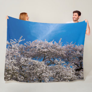 Cobertor De Velo Primavera Cherry Blossom