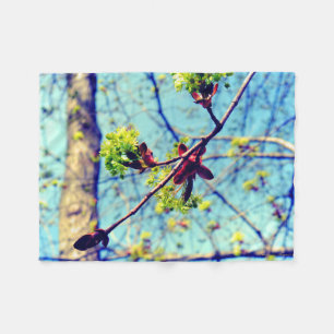 Cobertor De Velo Primavera floresce a árvore de maple estilizada