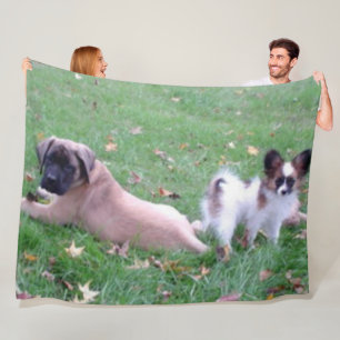Cobertor De Velo PUPPYS MASTIFF e PAPILLON