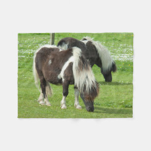Cobertor De Velo Purebred Shetland Paint Ponies