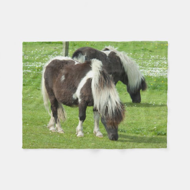 Cobertor De Velo Purebred Shetland Paint Ponies (Frente (Horizontal))