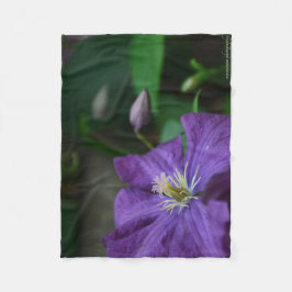 Cobertor De Velo Purple Clematis
