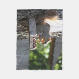 Cobertor De Velo Quirrel Fleece Blanket