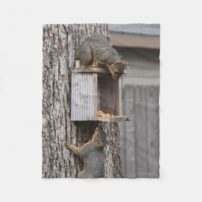 Cobertor De Velo Quirrel Fleece Blanket (Frente)