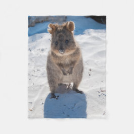 Cobertor De Velo Quokka na Praia da Austrália