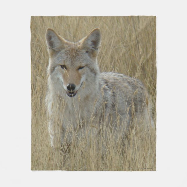 Cobertor De Velo R2 Coyote em Grama Alta (Frente)