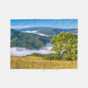 Cobertor De Velo Redwood National Park, Califórnia