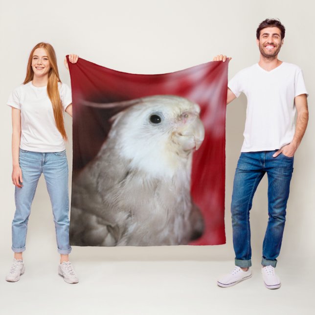 Cobertor De Velo Réplicas (In Situ)