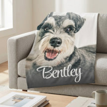 Retrato de animal de estimação branco elegante com