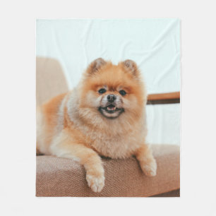 Cobertor De Velo Retrato de Cachorrinho Pomerânia Fofinho e Felpudo