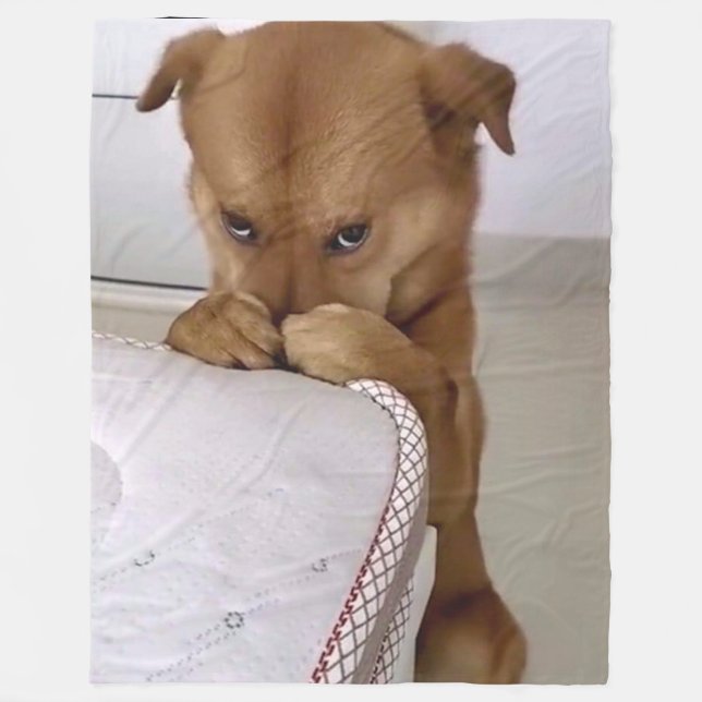 COBERTOR DE VELO REZAÇÃO DE CÃO (Frente)