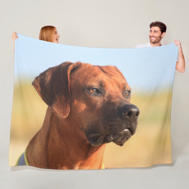COBERTOR DE VELO RIDGEBACK RHODESIAN (In Situ)