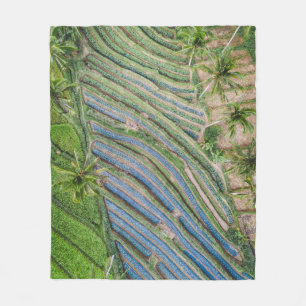 Cobertor De Velo River between coconut trees painting