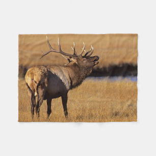 Cobertor De Velo Roosevelt Eull Elk Wyoming
