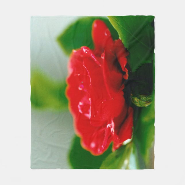 Cobertor De Velo Rosa vermelha de manhã coberta com gotas de orvalh (Frente)