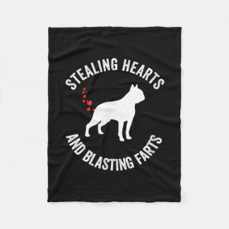 Cobertor De Velo Roubando Corações E Fazendas Explosivas Boston Ter