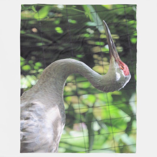 Cobertor De Velo Sandhill Crane (Frente)