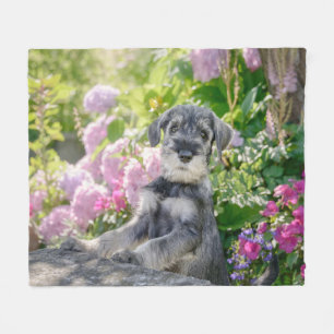 Cobertor De Velo Schnauzer Puppy padrão num jardim de flores