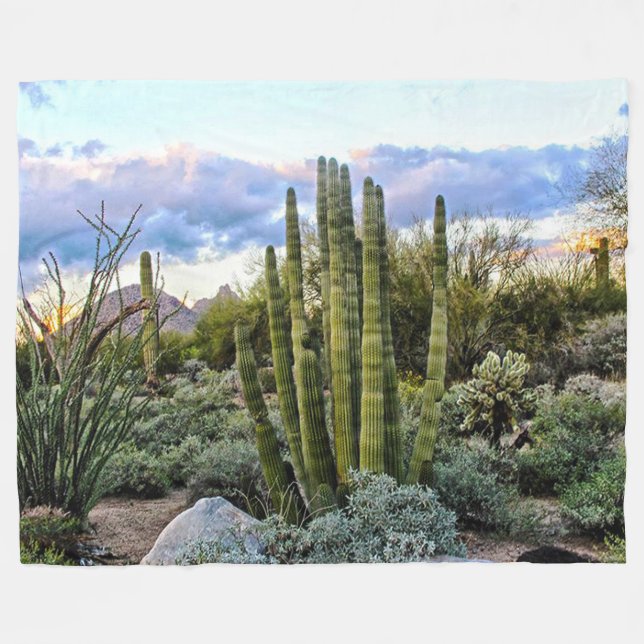 Cobertor De Velo Scottsdale Succulent Sunset (Frente (Horizontal))