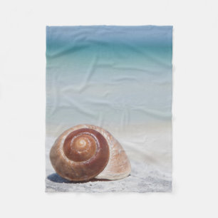 Cobertor De Velo Seashell na praia St Petersburg, Fl
