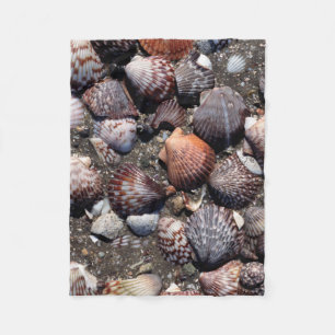 Cobertor De Velo Seashells coloridos Scalloped em uma areia preta