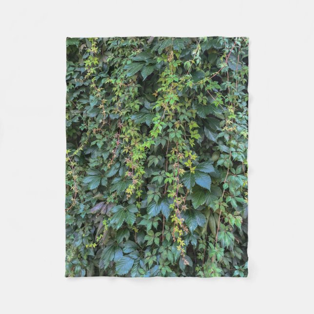 Cobertor De Velo Serene Green Ivy Wall Prendendo Folhas de Plantas  (Frente)
