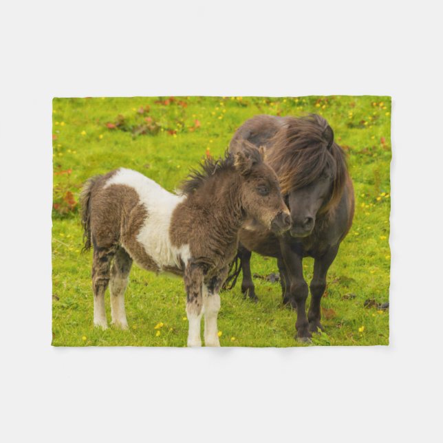 Cobertor De Velo Shetland Pony Madre e Filhotes (Frente (Horizontal))