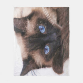 Cobertor De Velo Siamese Kitten Docinho Face Fleece Blanket