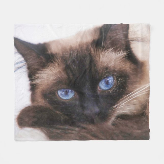 Cobertor De Velo Siamese Kitten Docinho Face Fleece Blanket (Frente (Horizontal))