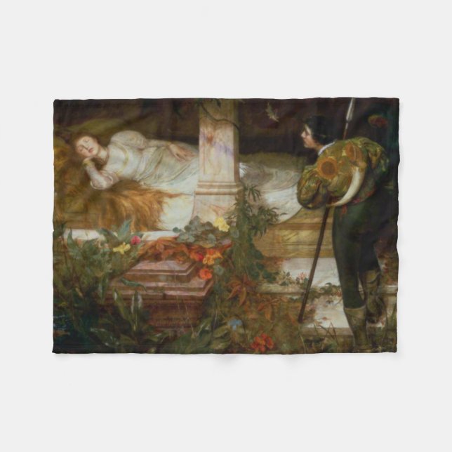 Cobertor De Velo Sleeping Beauty (Prince Charming and His Princess) (Frente (Horizontal))