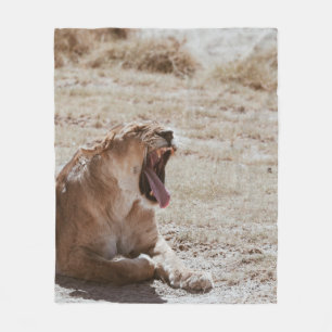 COBERTOR DE VELO SLEEPY LION