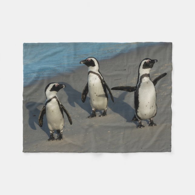 Cobertor De Velo Spheniscus africano Demersus dos pinguins | (Frente (Horizontal))