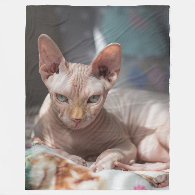 COBERTOR DE VELO SPHINX CAT (Frente)