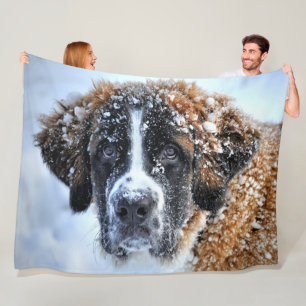 Cobertor De Velo ST BERNARD na NEVE