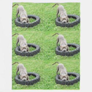 Cobertor De Velo Staffy Playtime Grande Flórida.