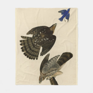Cobertor De Velo Stanley (Cooper's) Hawk Audubon's Birds of America