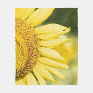 Cobertor De Velo Sunflower Half