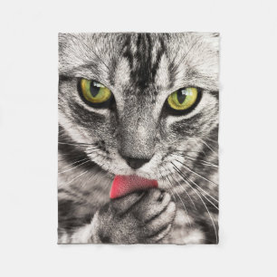 Cobertor De Velo Tabby Cat Licing Paw