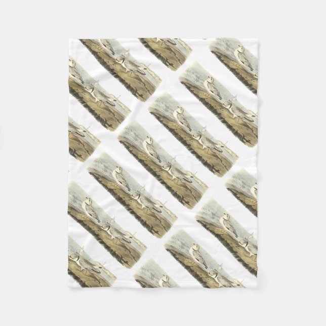 Cobertor De Velo Tarambola tranqüila por Audubon (Frente)