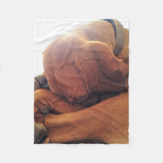 Cobertor De Velo Tempo de sono