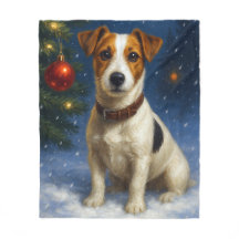 Terrier Jack Russell