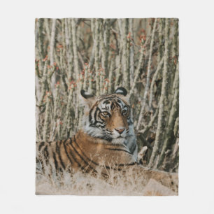 COBERTOR DE VELO TIGER IN THE WILD RESTING