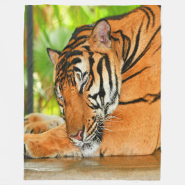 Cobertor De Velo Tigre de dormir