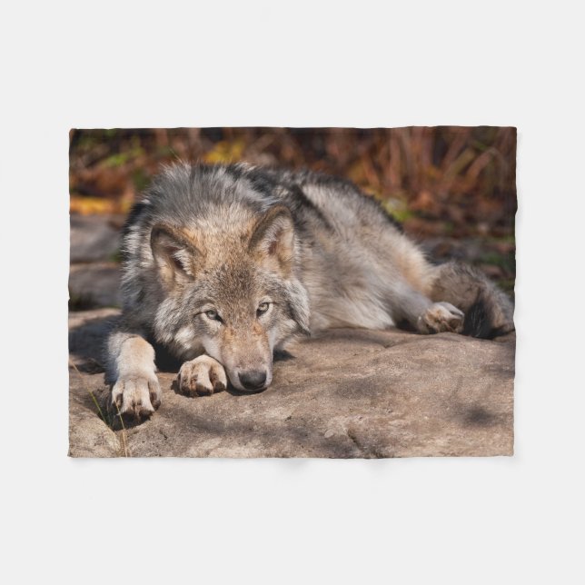 Cobertor De Velo Timber Wolf (Frente (Horizontal))