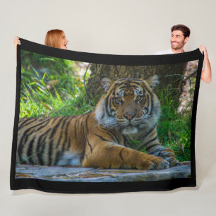 Cobertor De Velo Tony Fleece Blanket