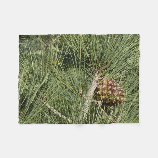 Cobertor De Velo Torrey Pine Closeup California Botanical (Frente (Horizontal))