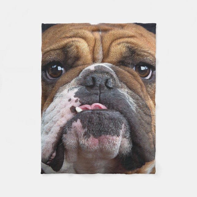 Cobertor De Velo Travesseiro decorativo Inglês Bulldog (Frente)
