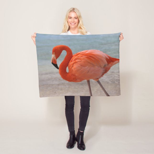 Cobertor De Velo Tropical Beaches | Caribbean Flamingo, Aruba (In Situ)